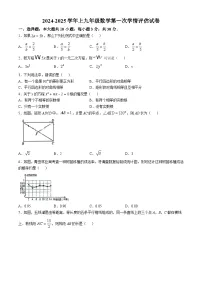 2024-2025学年广东省佛山市南海区九年级（上）10月月考数学试题(无答案)