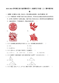 2023-2024学年浙江省宁波市鄞州区十二校联考八年级（上）期中数学试卷