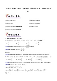专题02 锐角的三角比（考题猜想，易错必刷40题7种题型专项训练）（含答案） 2024-2025学年九年级数学上学期期中考点大串讲（沪教版）