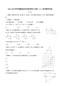 2024-2025学年福建省泉州实验学校九年级（上）段考数学试卷（二）（含答案）