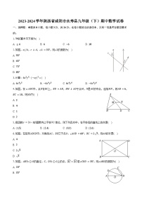 2023-2024学年陕西省咸阳市永寿县九年级（下）期中数学试卷（含答案）