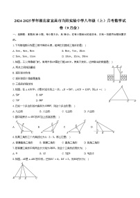 2024-2025学年湖北省宜昌市当阳实验中学八年级（上）月考数学试卷（9月份）（含答案）