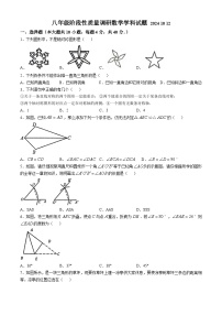 江苏省徐州市沛县第五中学2024-2025学年八年级上学期10月月考数学试题