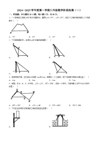 广东省阳江职业技术学院附属实验学校2024-2025学年八年级上学期第一次月考数学试题(无答案)