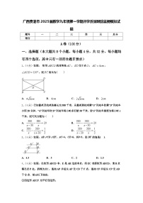 广西贵港市2025届数学九年级第一学期开学质量跟踪监视模拟试题【含答案】