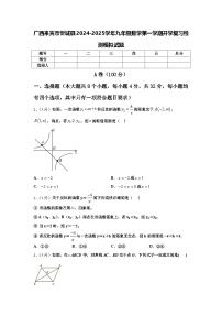 广西来宾市忻城县2024-2025学年九年级数学第一学期开学复习检测模拟试题【含答案】