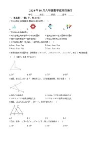 福建省福州第七中学 2024-2025学年八年级上学期数学适应性训练（10月）(无答案)