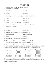 重庆市秀山区多校2024-2025学年九年级上学期第一次月考数学试题(无答案)