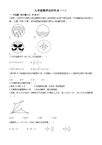 重庆市第二十九中学校2024-2025学年九年级上学期第一次月考数学试卷(无答案)