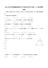 湖南省岳阳市平江县启明中学2023-2024学年九年级上学期期中数学试卷