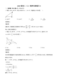 上海市徐汇中学2024--2025学年九年级上学期数学10月月考试卷（解析版）