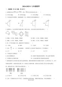 广东深圳2024-2025学年七年级上学期数学月考试卷（原卷版+解析版）