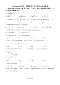 广东深圳龙岗中学等校2024—2025学年上学期八年级10月月考数学试题（原卷版+解析版）