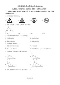 浙江金华市义乌市七校联考2024-2025学年八年级上学期10月月考数学试题（原卷版+解析版）