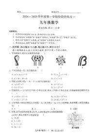 安徽省阜阳市颍州区阜阳市第十五中学2024-2025学年九年级上学期10月月考数学试题