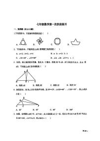 山东省淄博市桓台县红莲湖学校（鲁教五四）2024--2025学年七年级上学期月考数学试卷（10月）