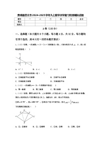 贵州省遵义市2024-2025学年九上数学开学复习检测模拟试题【含答案】