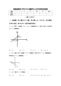 海南省儋州三中学2025届数学九上开学达标检测试题【含答案】