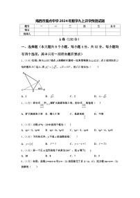 海西市重点中学2024年数学九上开学预测试题【含答案】