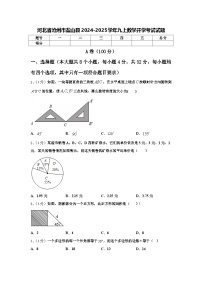 河北省沧州市盐山县2024-2025学年九上数学开学考试试题【含答案】