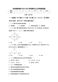 河北省鸡泽县2024-2025学年数学九上开学经典试题【含答案】