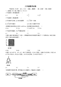 吉林省长春市吉林大学附属中学慧谷学校2024-2025学年八年级上学期第一次月考数学试题(无答案)