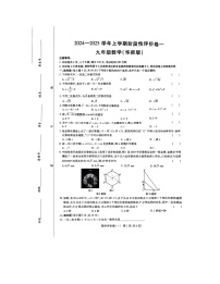 河南省南阳市南召县2024-2025学年九年级上学期10月月考数学试题