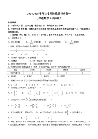 河南省鹤壁市2024-2025学年七年级上学期月考数学试题