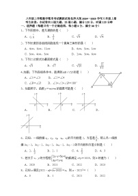 2024—2025学年北师大版八年级上册 期末考试数学模拟试卷