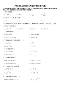 广西壮族自治区崇左市2024年七年级上学期期中数学试题【附参考答案】