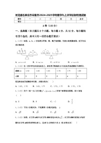 河北省石家庄市辛集市2024-2025学年数学九上开学达标检测试题【含答案】