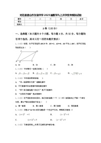 河北省唐山市友谊中学2025届数学九上开学统考模拟试题【含答案】