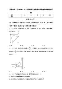 河南省宝丰市2024-2025学年数学九年级第一学期开学联考模拟试题【含答案】