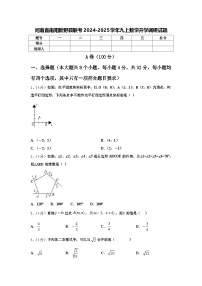 河南省南阳新野县联考2024-2025学年九上数学开学调研试题【含答案】