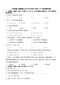 广东省佛山市顺德区2023-2024学年八年级下学期期末考试数学试卷