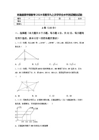 河南省镇平县联考2024年数学九上开学学业水平测试模拟试题【含答案】