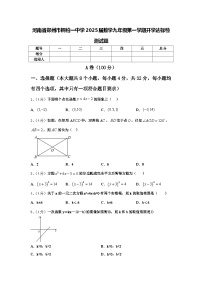 河南省郑州市桐柏一中学2025届数学九年级第一学期开学达标检测试题【含答案】