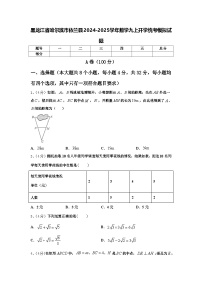 黑龙江省哈尔滨市依兰县2024-2025学年数学九上开学统考模拟试题【含答案】
