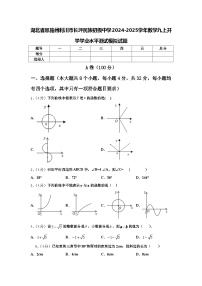 湖北省恩施州利川市长坪民族初级中学2024-2025学年数学九上开学学业水平测试模拟试题【含答案】