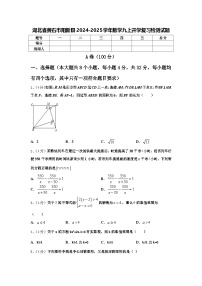 湖北省黄石市阳新县2024-2025学年数学九上开学复习检测试题【含答案】