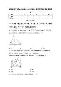 湖北省武汉市青山区2024-2025学年九上数学开学学业质量监测试题【含答案】