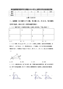 湖北省襄阳市四中学义教部2024年九上数学开学达标测试试题【含答案】