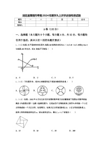 湖北省襄阳市枣阳2024年数学九上开学达标检测试题【含答案】