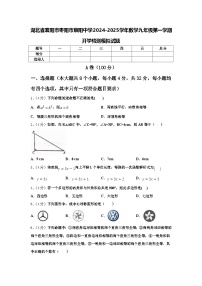 湖北省襄阳市枣阳市蔡阳中学2024-2025学年数学九年级第一学期开学检测模拟试题【含答案】