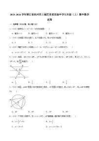 浙江省杭州市上城区采荷实验中学2023-2024学年上学期九年级期中数学试卷