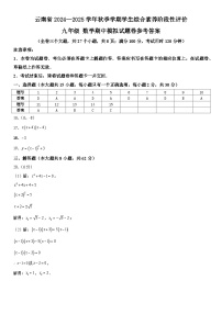 云南省2024—2025学年秋季学期学生综合素养阶段性评价九年级数学期中模拟试题卷（三）