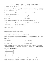 陕西省西安市雁塔区西安高新区第三初级中学 2024-2025学年 八年级上学期10月月考数学试题(无答案)