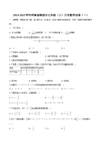 河南省鹤壁市2024-2025学年七年级上学期月考数学试卷（一）