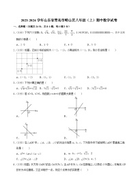 山东省青岛市崂山区2023-2024学年八年级（上）期中数学试卷