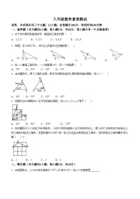 江西师范大学附属中学红谷滩区滨江分校2024-2025学年八年级上学期第一次月考数学试题